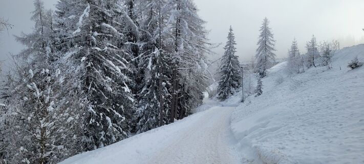 Foto von Nicky entlang der Tour