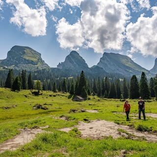 Hochebene Alp Sellamatt