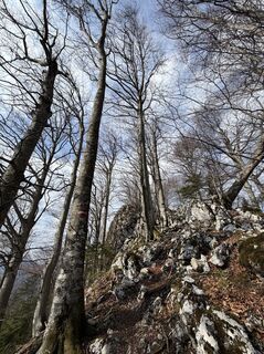 Fotografia z Birgit Schreiner na trase