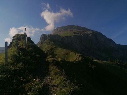 Photo de luyyy le long du parcours