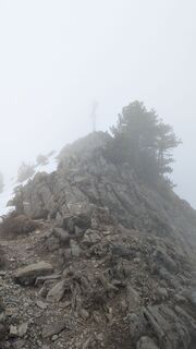 Photo de Martin Glaser le long du parcours