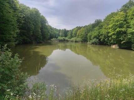 Zdjęcie z Làszló Visi wzdłuż trasy