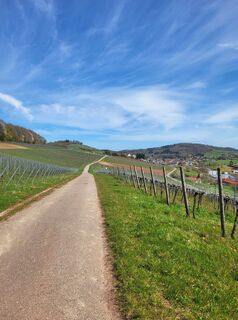 Fotografija s spletne strani Anke Hetzer na poti