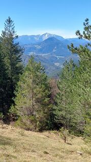 Fotografija s spletne strani Johann Neubauer na poti