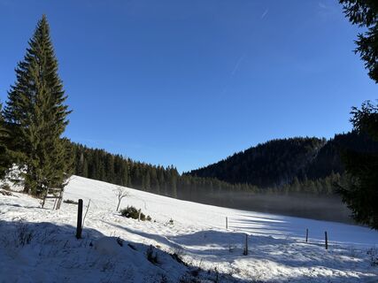 Foto von Peda entlang der Tour
