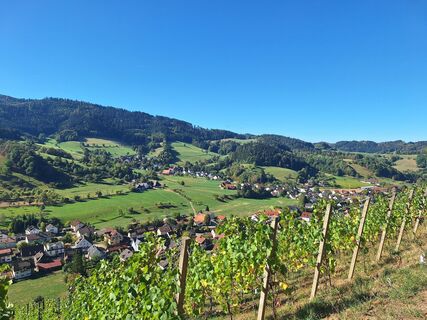 Foto von Katharina entlang der Tour