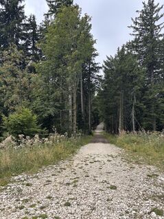 Foto de Heinz Sperl a lo largo del recorrido