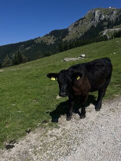Photo de Moritz Engel le long du parcours