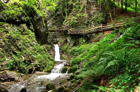 Dr. Vogelgesang-Klamm