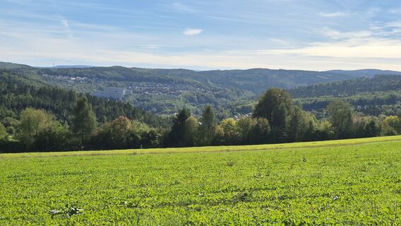 Photo de Heisi le long du parcours