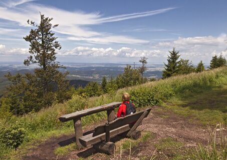 Wartburgblick