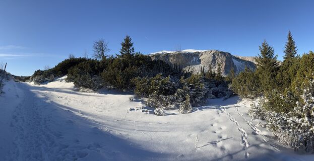 Foto de Raphael Höller a lo largo del recorrido