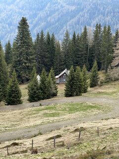 Foto de Schabsi a lo largo del recorrido