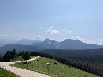 Foto von Heinz Sperl entlang der Tour
