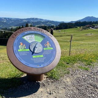 Expedition Nagelfluh-Station bei der Vorderen Fluh