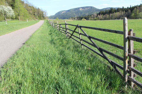 Grüne Weiden an der Schlichem-Tour