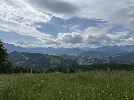 Photo de Babs Holz le long du parcours