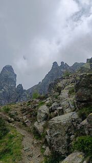 Foto de EdenRose a lo largo del recorrido