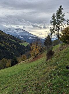 Foto von Dagmar Hofer entlang der Tour