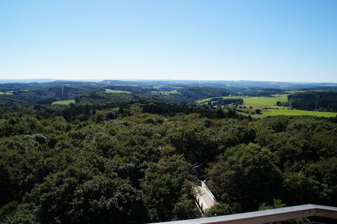 Ausblick vom Aussichtsturm auf Panarbora