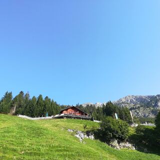 Thaurer Alm