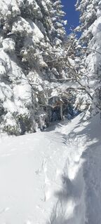 Foto von veronika bozic entlang der Tour