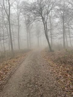 Fotografija s spletne strani Bacskai János na poti
