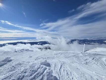 Fotografia z Gerti Bärnthaler na trase