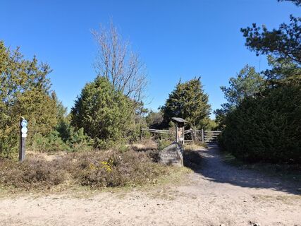 Foto von nordbergschnecke entlang der Tour