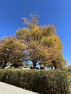 Fotografia z Gerhard Lilek na trase