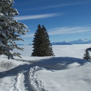 Schneeschuhtrail Selibüel-Panoramatrail