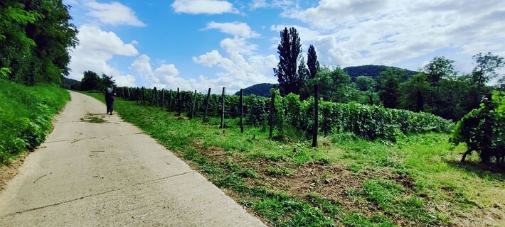 Foto de Gie van den eeckhaut a lo largo del recorrido