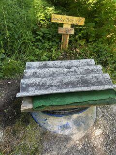 Foto von Sigmar Wimmer entlang der Tour