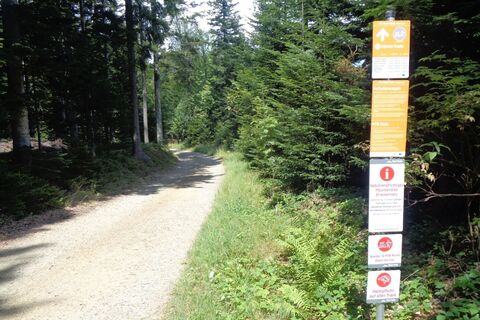 Route 55 - Wexl Trails