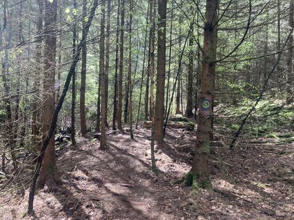 Pfade am Hemelbach