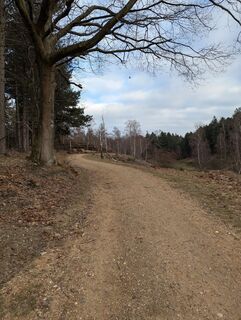 Foto de Matje Derks a lo largo del recorrido