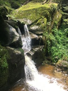 Foto fra Janina C undervejs på turen