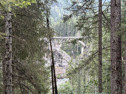 Foto von Grizzli entlang der Tour