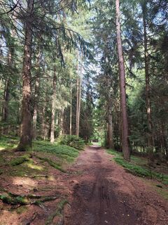 Foto von Edith K. entlang der Tour