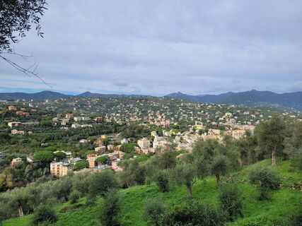 Photo de schenkeli le long du parcours