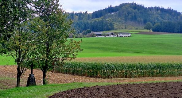 Zdjęcie z zirberl wzdłuż trasy