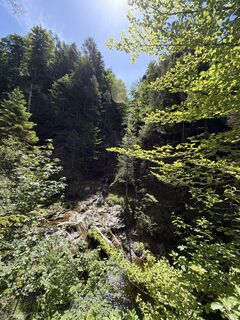 Fotografija s spletne strani Patricia75 na poti