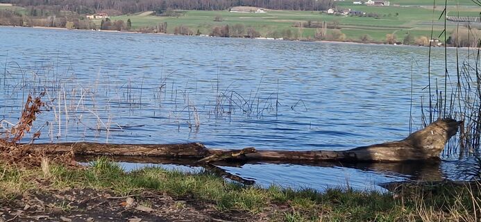 Foto von Marcel Engelmann entlang der Tour