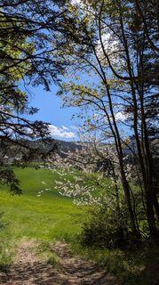 Foto von Richard Schwald entlang der Tour