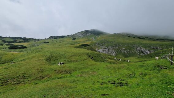 Foto von EP87 entlang der Tour