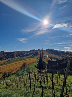 Foto från Michael Kainz 4 under resans gång