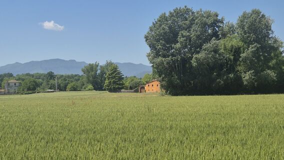Fotografie z Thomi W na trase