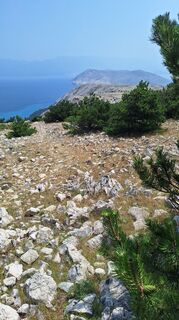 Foto från Aga M under resans gång