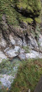 Fotografija s spletne strani Jerzy borys na poti