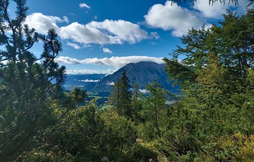 Herrlicher Ausblick auf den Grimming